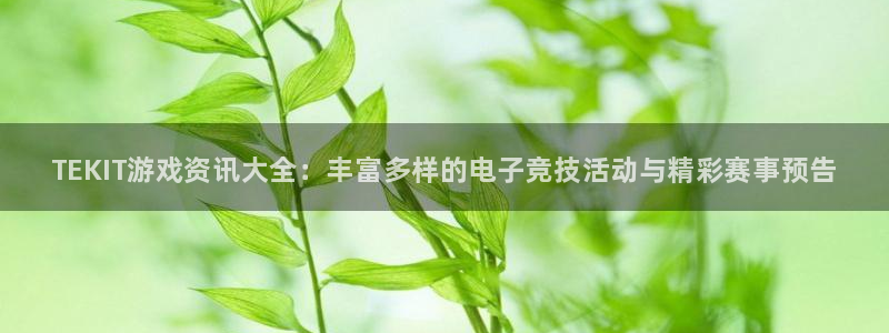 天美娱乐网页登录入口官网：TEKIT游戏资讯大全：丰富多样的