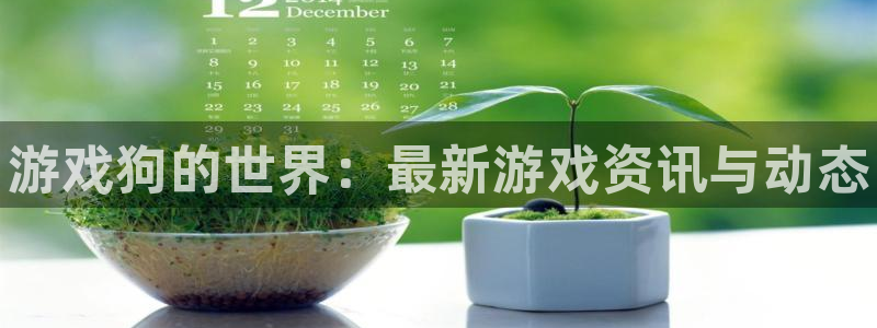 天美娱乐Ii：游戏狗的世界：最新游戏资讯与动态