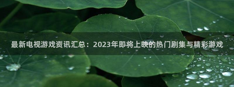 天美娱乐网页登录入口：最新电视游戏资讯汇总：2023年即将上