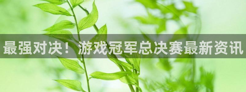 天美娱乐平台官网登录：最强对决！游戏冠军总决赛最新资讯