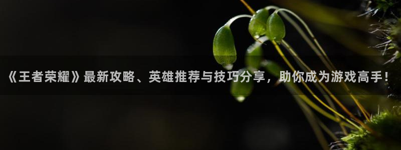 天美娱乐娱乐：《王者荣耀》最新攻略、英雄推荐与技巧分享，助你